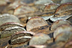 Coins in a log